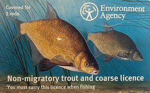 A UK License Front from 2020 shows a picture of a bream