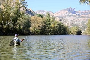Spain Fishing trout