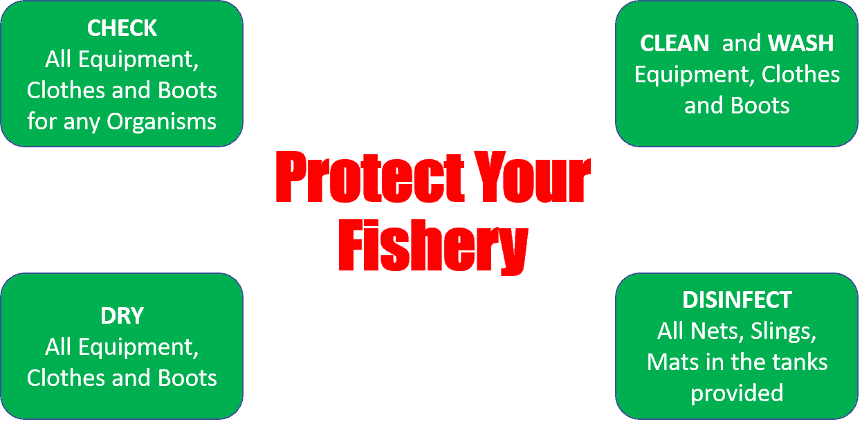 Protect Your Fishery 1